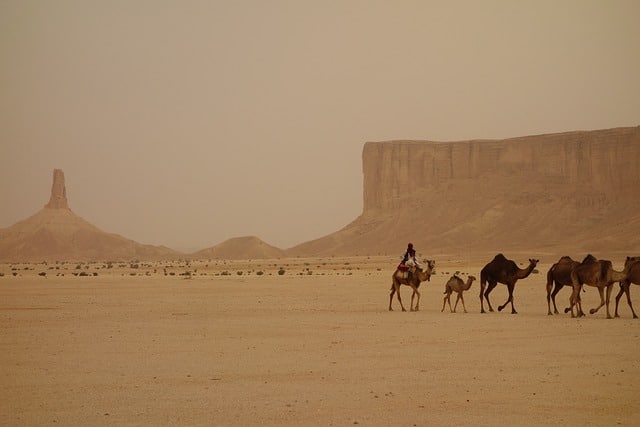 صحراء الرياض
