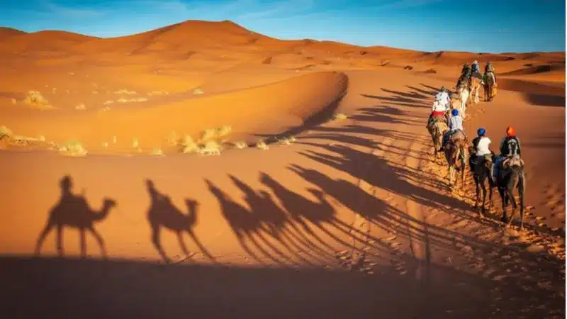 رحلات السفاري في خورفكان