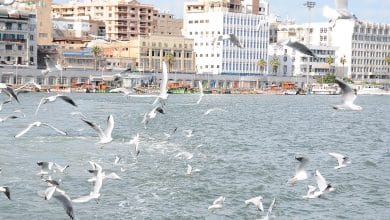أفضل معالم بورسعيد السياحية