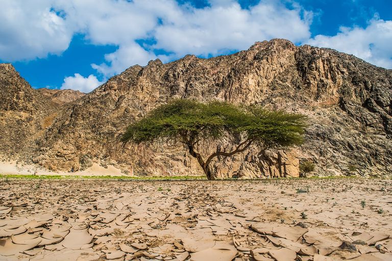 وادي الجمال في مرسى علم