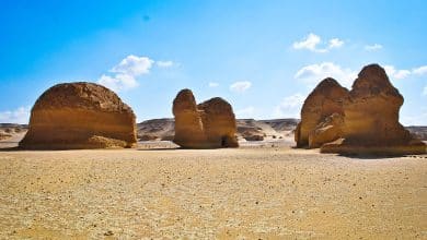 محمية وادي الحيتان في الفيوم