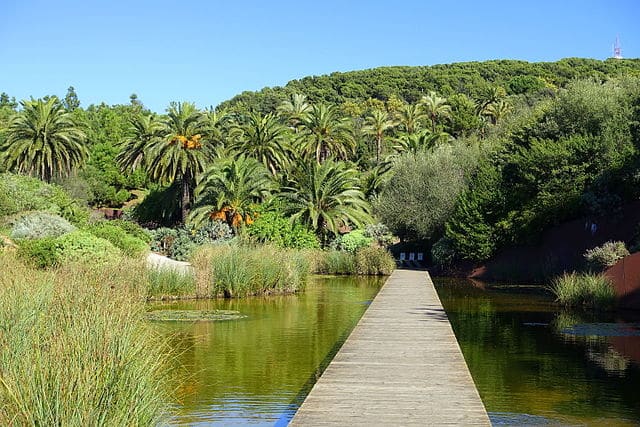 حديقة برشلونة النباتية إسبانيا