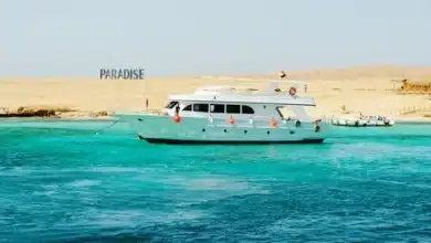 جزيرة باراديس في الغردقة