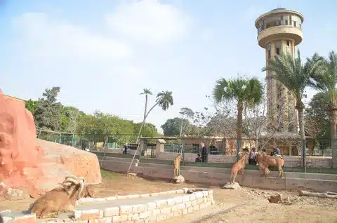 حديقة الحيوان بالاسكندرية