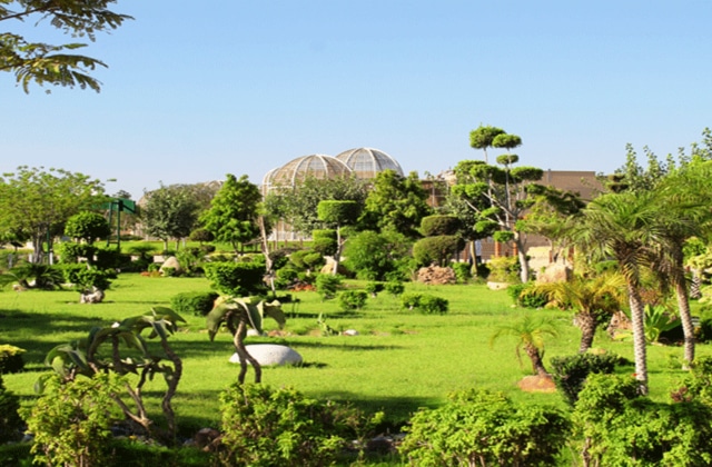 حديقة الاسرة