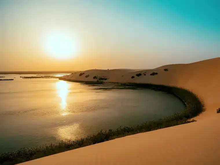 البحيرة الصفراء في الاحساء من أهم اماكن سياحية في مدينة الاحساء