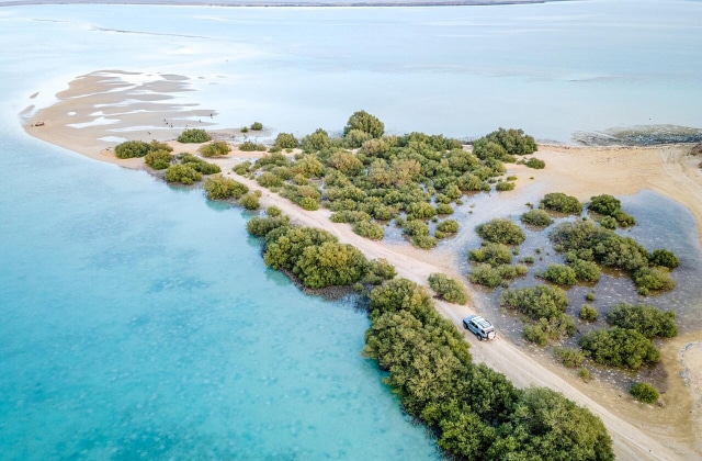 جزيرة فرسان
