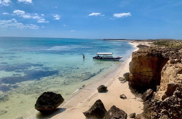 حجز عبارة فرسان