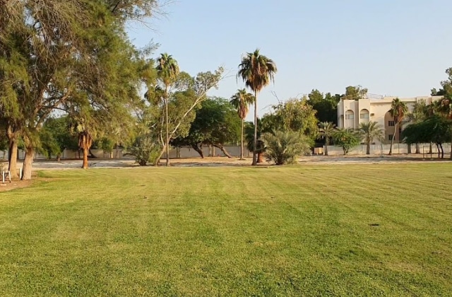 منتزه الدفي من اماكن سياحية في الجبيل