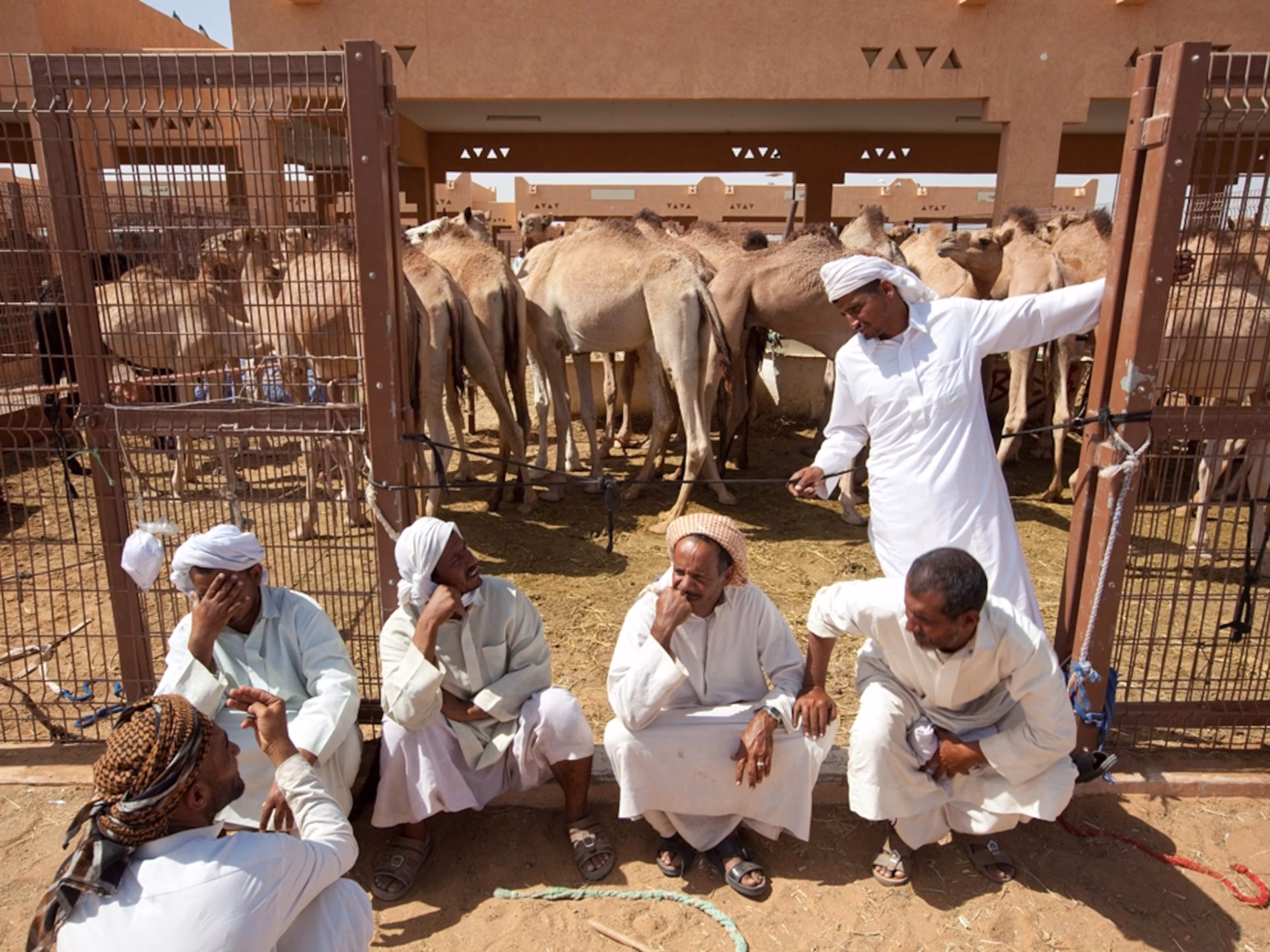 الجمال في سوق العين