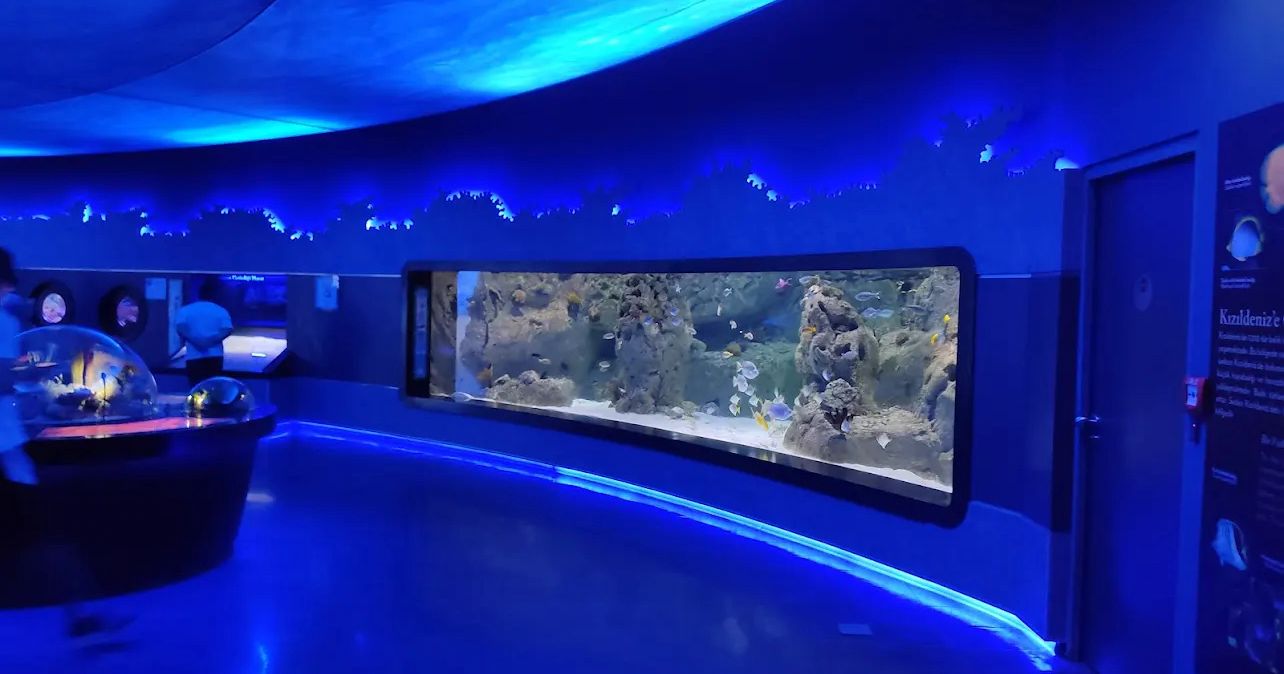 Istanbul Aquarium