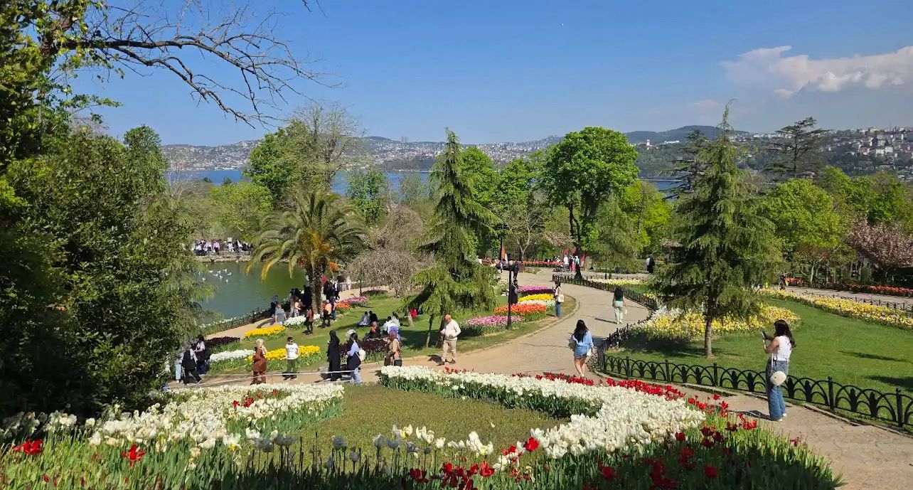 حديقة اميرجان