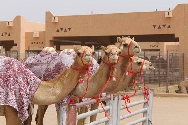 جانب من السوق