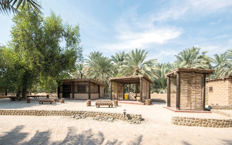 مناظر طبيعية خلابة