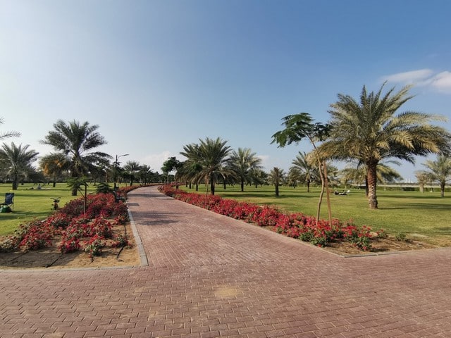 داخل الحديقة