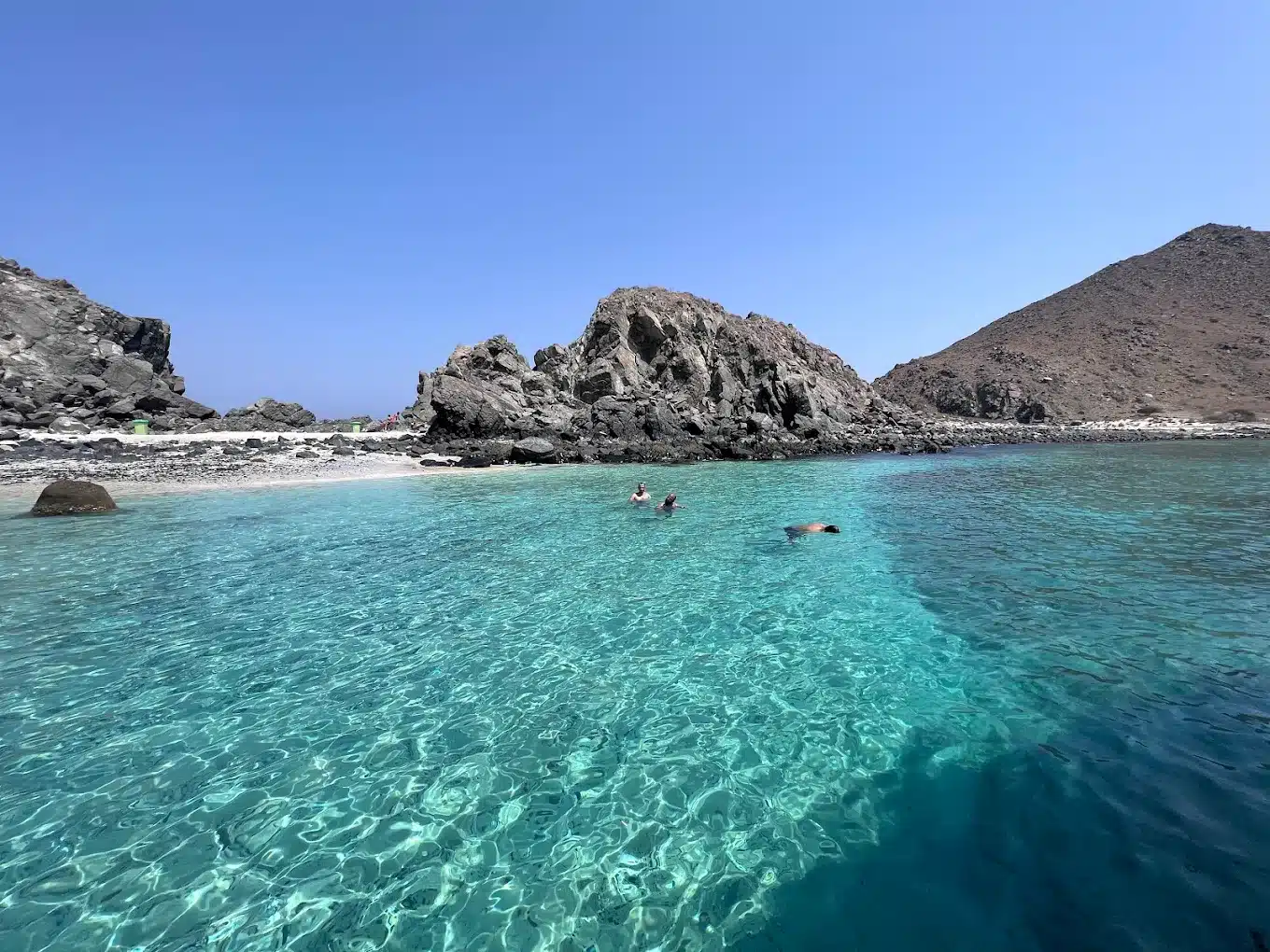 جزيرة القرش