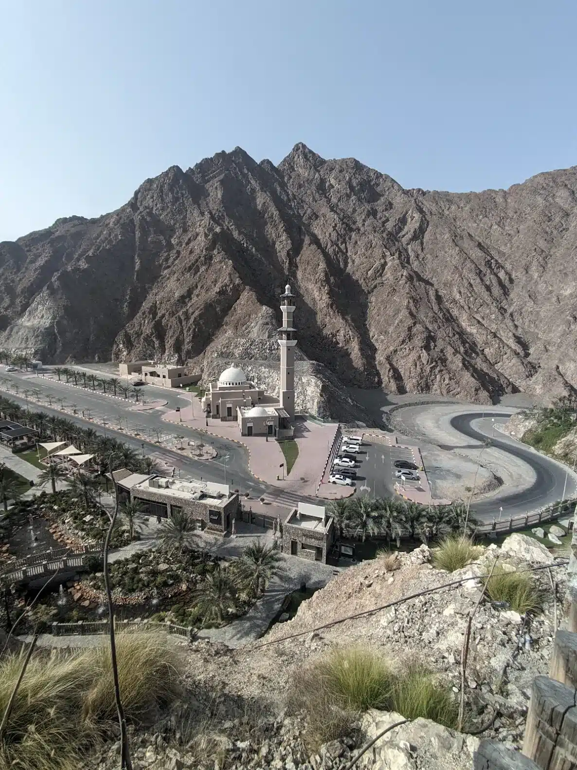 وادي شيص