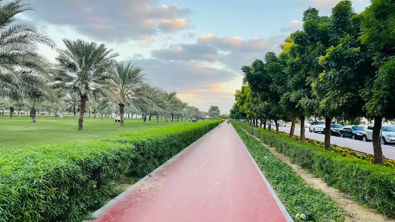 داخل الحديقة