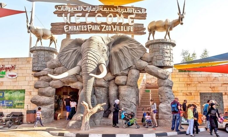 الحياة البرية في حديقة أبو ظبي