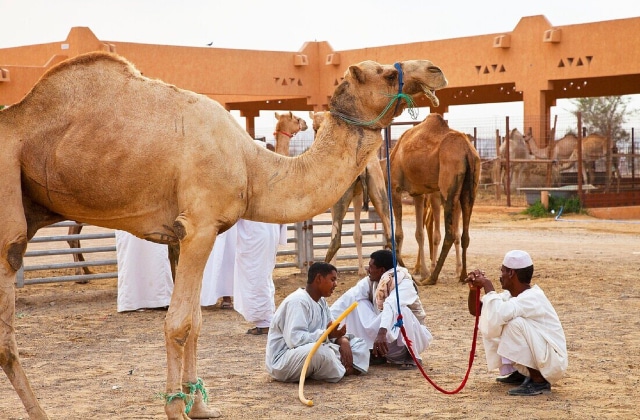 سوق الجمال في العين