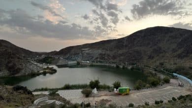 وادي شوكة