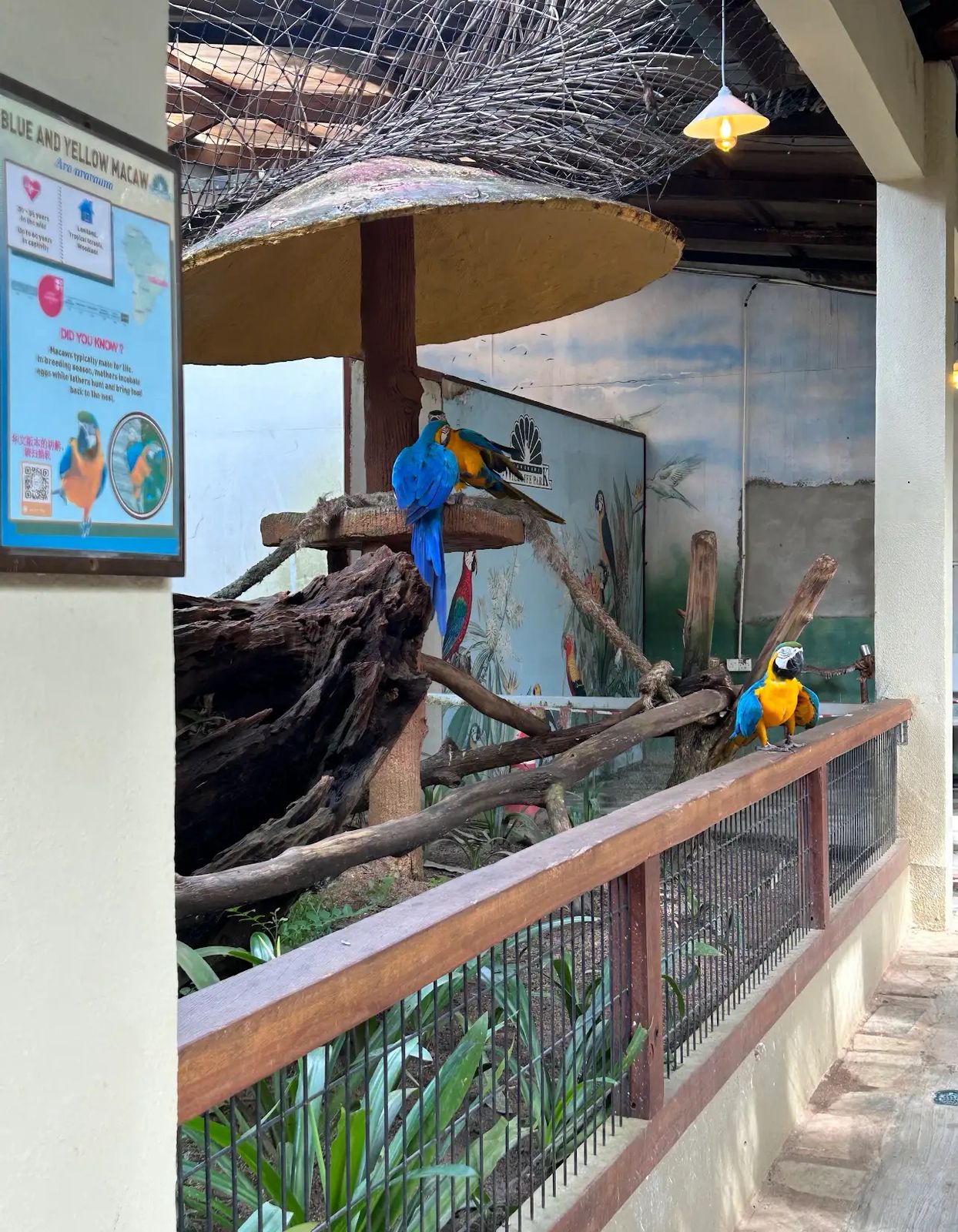 Langkawi Wildlife Park