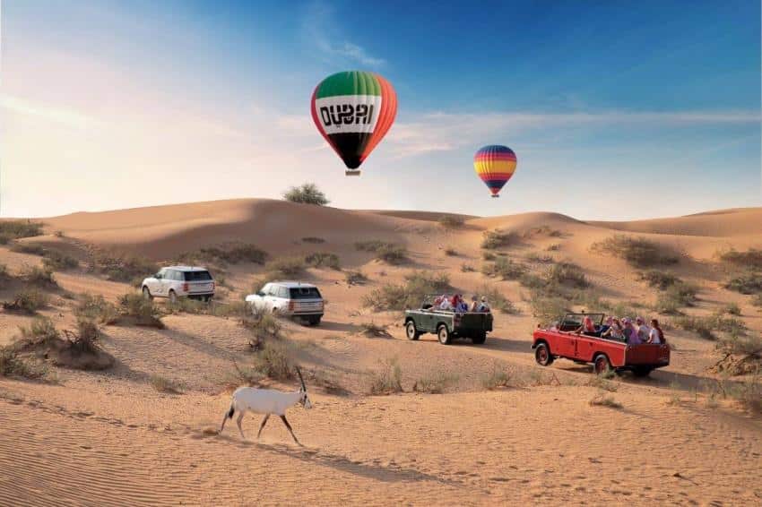 الجولات المنظمة لاستكشاف محمية دبي الصحراوية