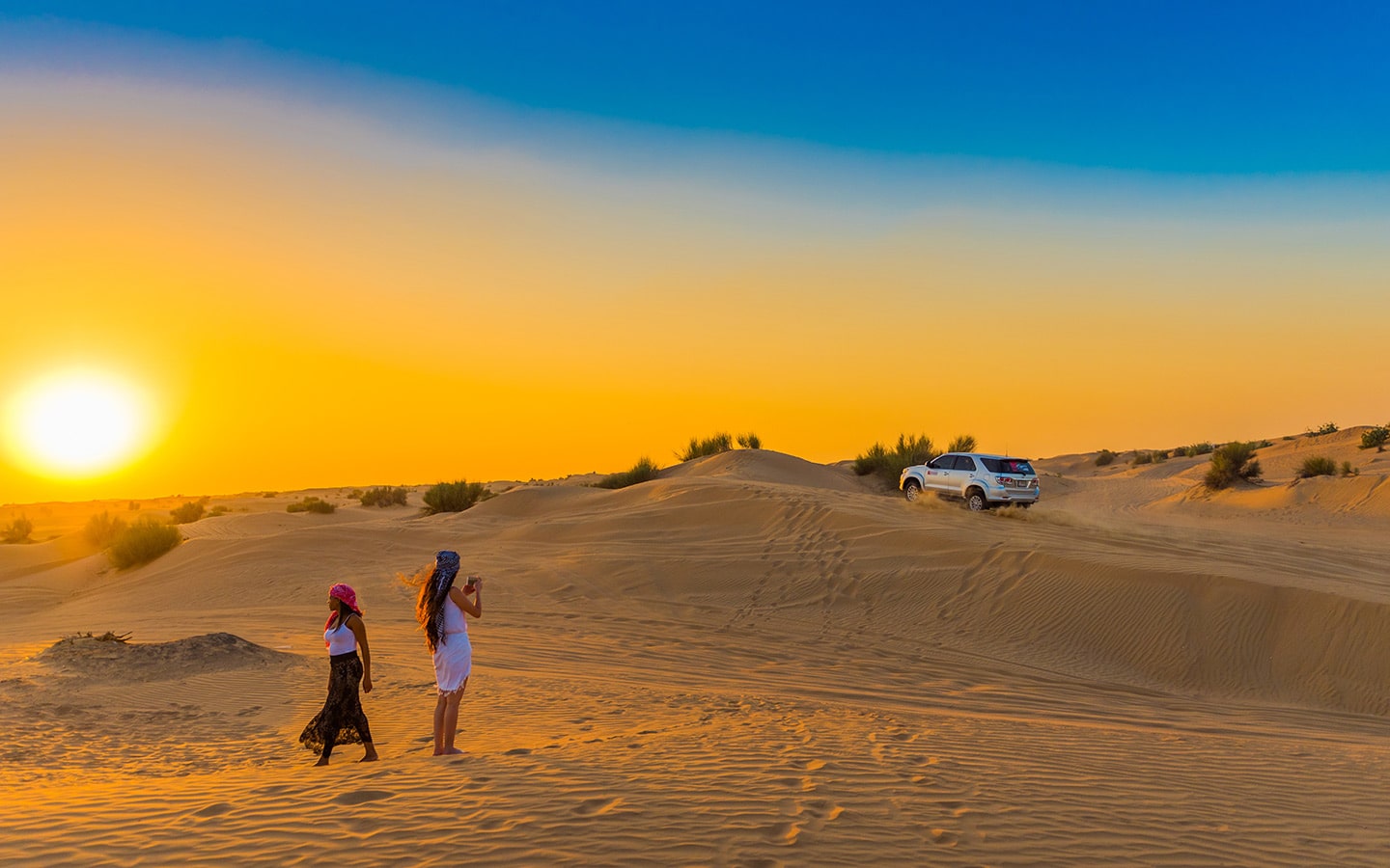 الانطلاق في رحلة فردية لكشف أسرار وطبيعة المحمية
