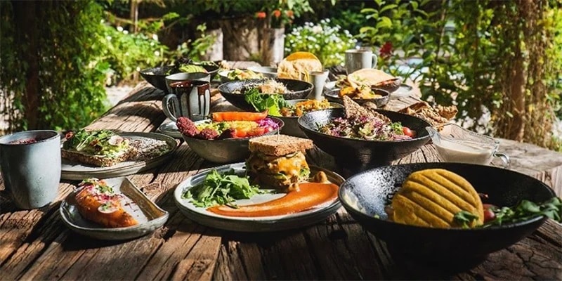 "أطباق نباتية فنية في مطعم Plant Based الفاخر في دبي - أول مطعم نباتي يحصل على تقدير ميشلان"